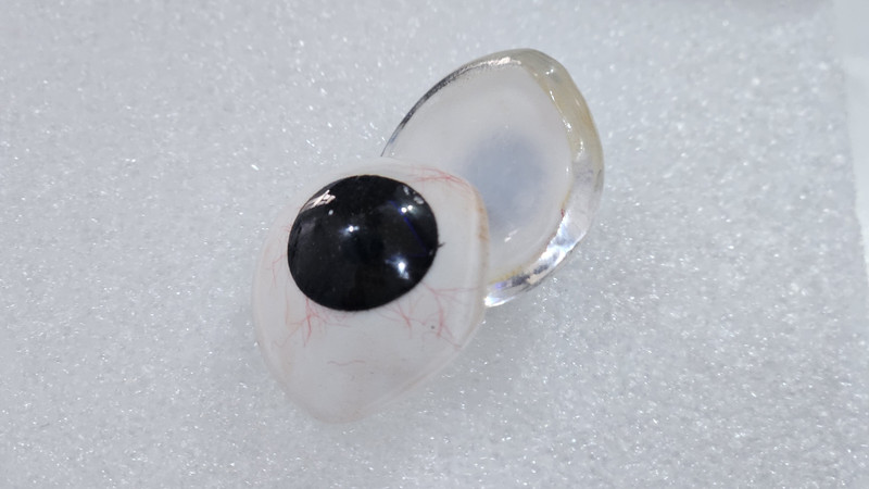 raj enterprises ARTIFICIALEYES55 Artificial Eye