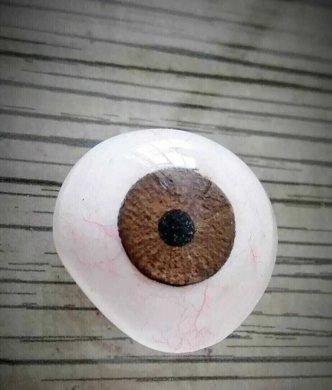 rajatkalpde asheye001 Artificial Eye