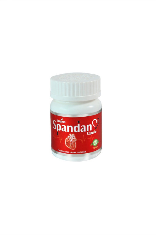 kayna healthcare Spandan Syrup For Controlling Blood Pressure and Cholesterol(200 ml)