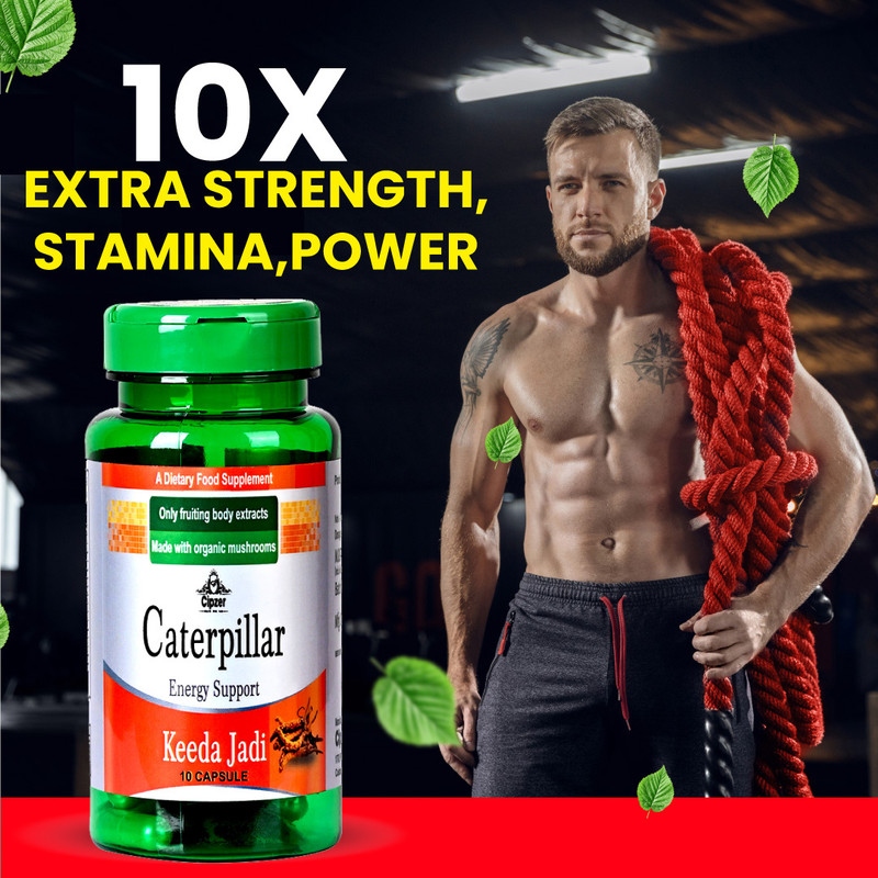 CIPZER Caterpillar Keeda Jadi 10 Capsules | Boost Energy, Immunity & Overall Vitality(10 Capsules)