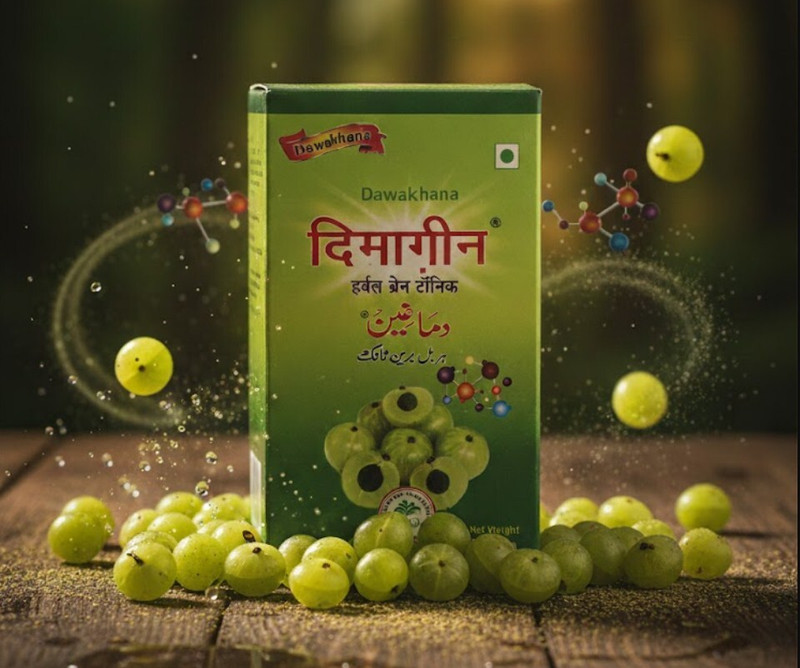 Dawakhana Dimagheen (380g)(Pack of 3, 1.2 kg)