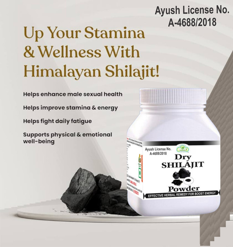 Gunmala Enterprises shilajit churan -25g(25 g)
