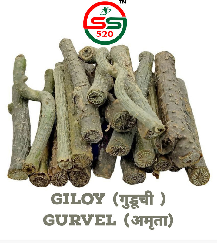 SS520 Dry Neem Giloy Sticks 900g. Guduchi Giloy Bel Stem amruta valli Guruch Gulvel(900 g)
