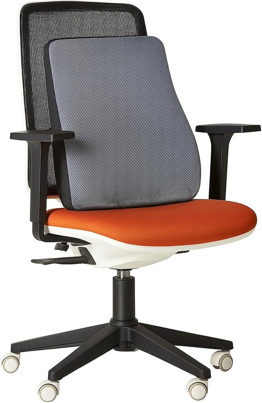 NTGS PU Foam Backrest with Adjustable Strap – Ergonomic Back Pillow Back and Spine Protector
