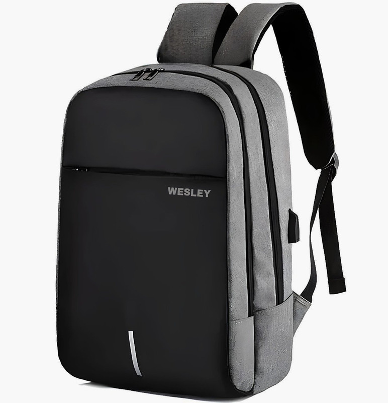 WESLEY Zeus Unisex bag Office/College Bag/Business Bag 35 L Trolley Laptop Backpack(Grey)