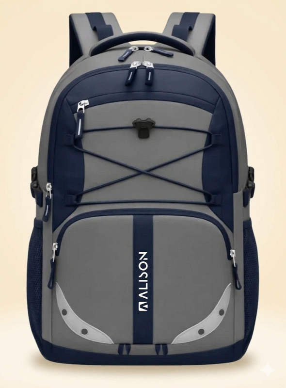 Alison Bags for men 40 L Laptop Backpack(Grey)