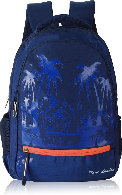 Paul London Pixel Pro 35 L Backpack(Blue)