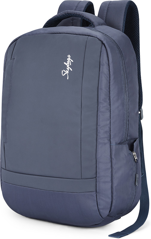 SKYBAGS VALOR 01 LAPTOP BACKPACK NAVY 20 L Laptop Backpack(Blue)