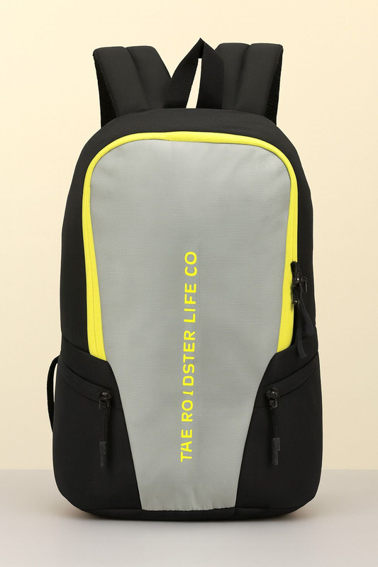 Roadster Medium Day 23 L Backpack(Black, Grey)