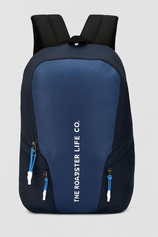 Roadster Medium Daypack 23 L Backpack(Blue)