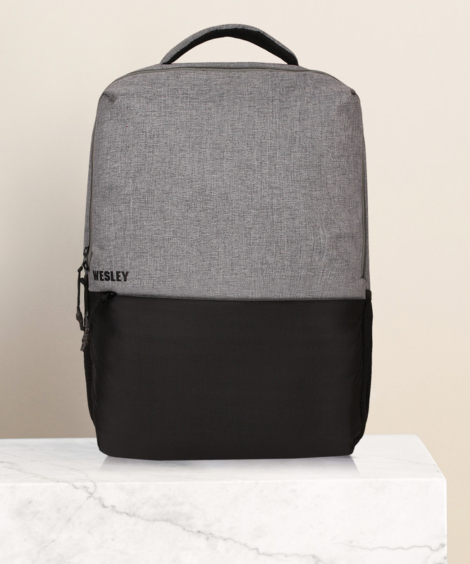 WESLEY Milestone 2.0 30 L Laptop Backpack(Grey)