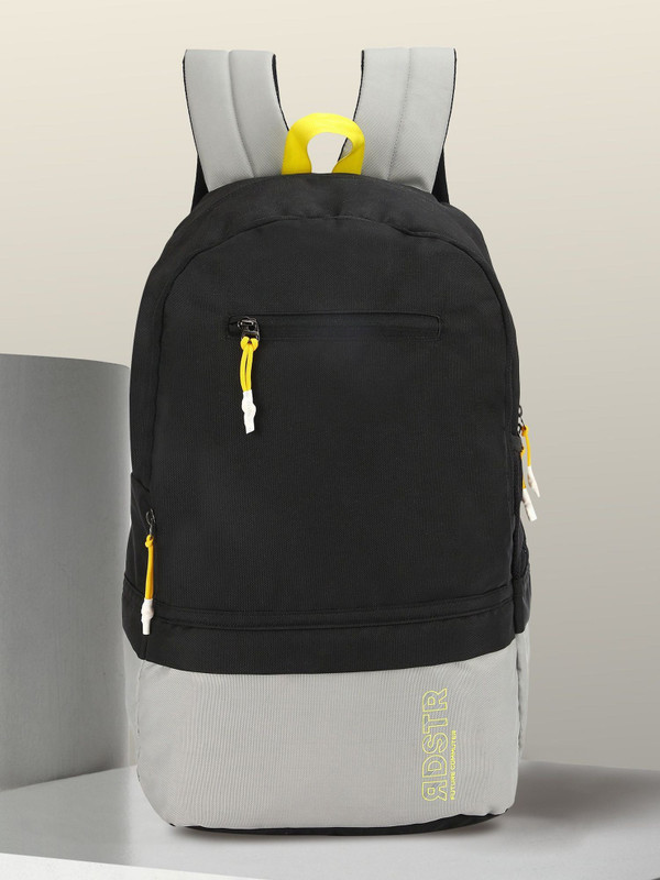 Roadster Large Unisex Casual Travel / College / Office 33 L Backpack(Black, Grey)