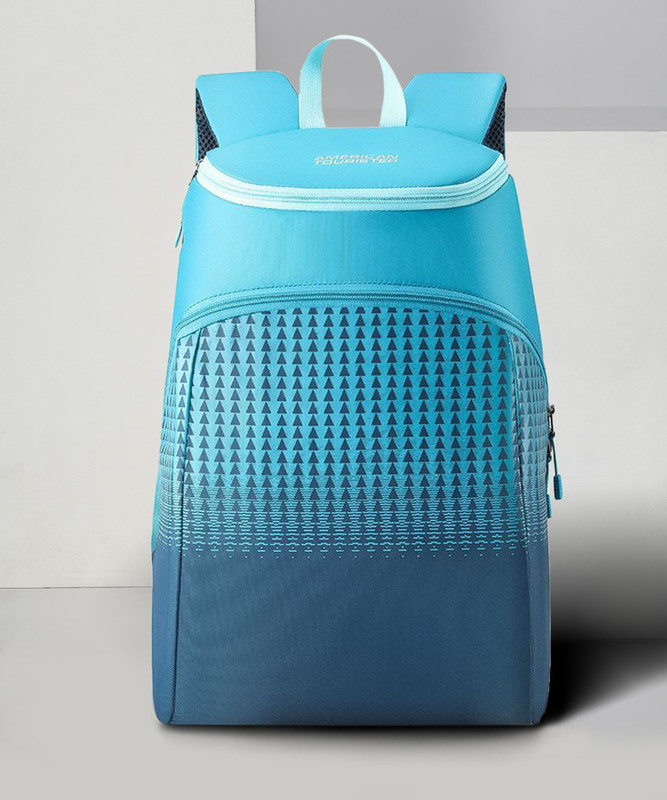 AMERICAN TOURISTER ACE DAYPACK 02 - BLUE 20 L Backpack(Blue)