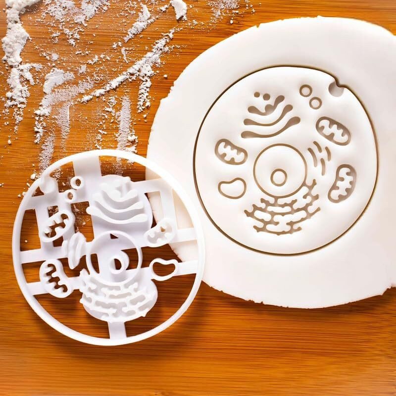 EROTNGO Human Cell – Biology Baking, Medical Science Themes, Robert Hooke Tribute Health Cookie Cutter