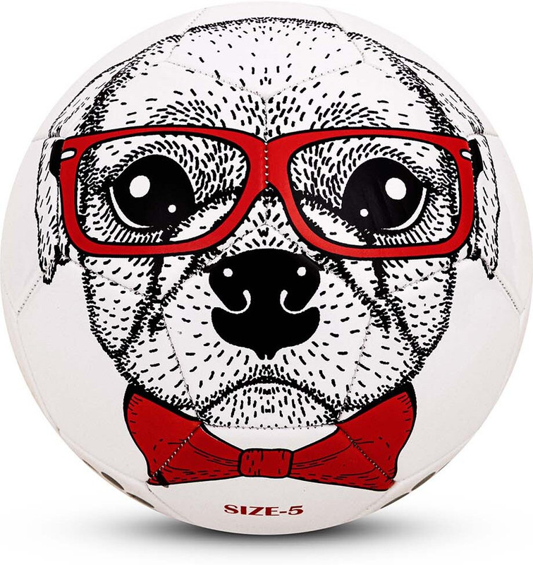 VECTOR X Dog Face Design|PVC Machine Stitched|Animal Cartoon Printed Soccer Play Ball Football - Size: 5(Kids, Pack of 1)