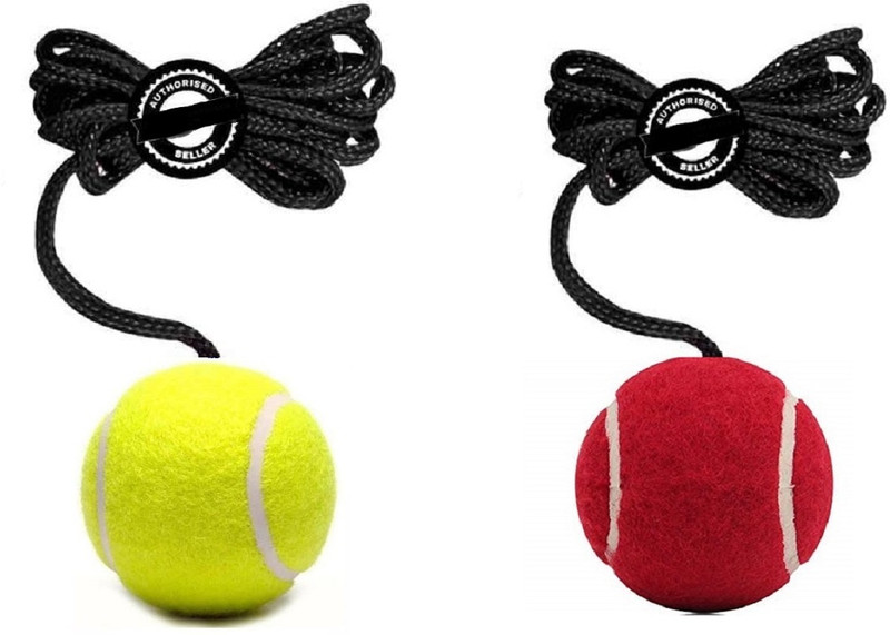 VS Sports Cricket Tennis Hanging Practice ball Heavy for Indoor/Outdoor Knocking Cricket Tennis Ball(Standard, Pack of 1, Green)