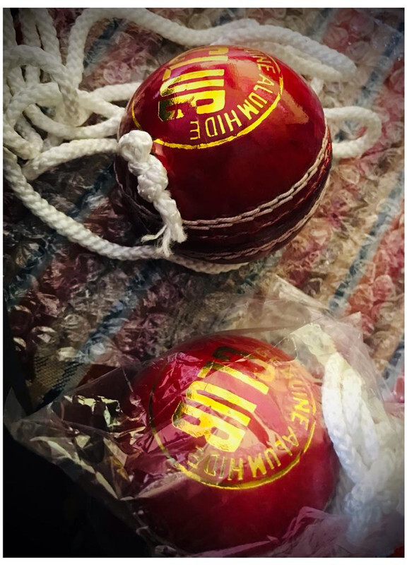 SKYGOLD SSTP Leather Hanging Cricket Ball for Shot Practice, Red - Standard Size Cricket Training Ball(Standard, Pack of 1, Red)