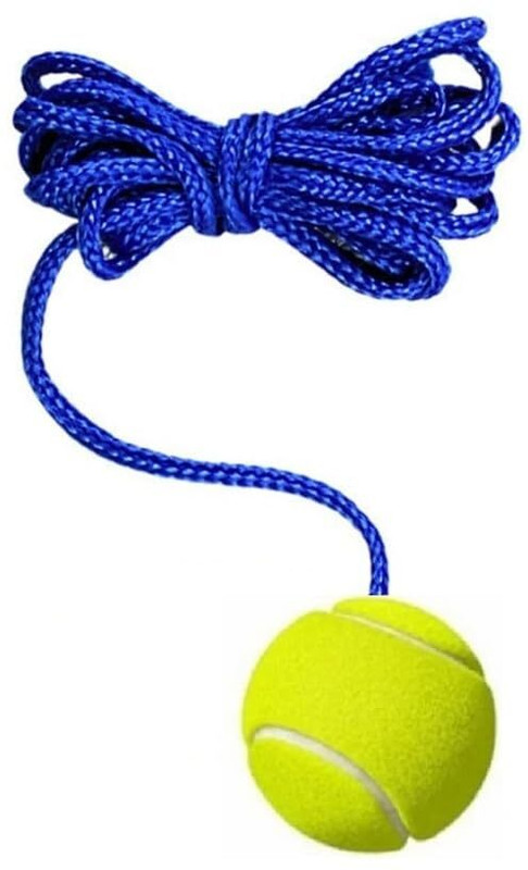 VSC VSC02 Cricket Training Ball(Standard, Pack of 1, Yellow)