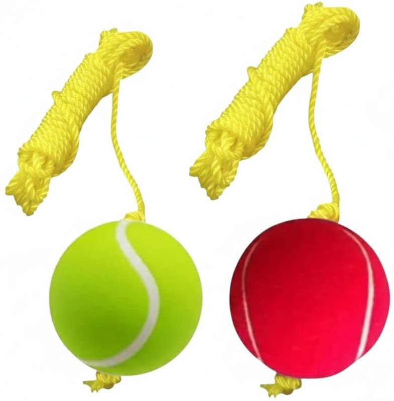 SNEHA handicraft Red & Green Cricket Tennis Hanging Practice Ball Cricket Tennis Ball(Kids, Pack of 2)