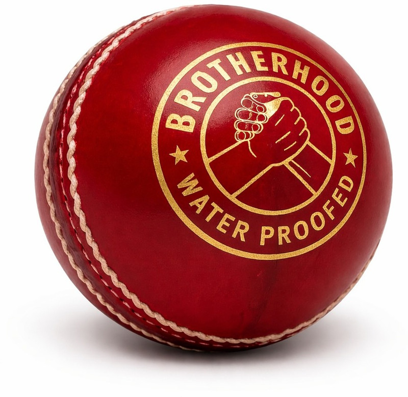 SKYGOLD Best Leather Cricket Ball for Cricket Players 50 Over Cricket Leather Ball(Standard, Pack of 1, Red)