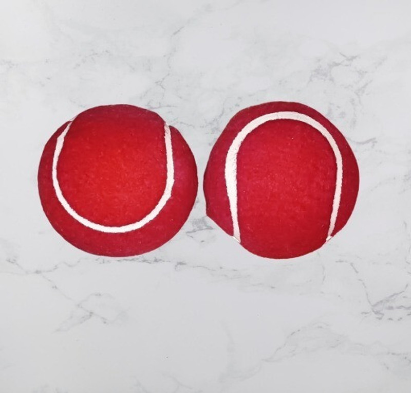 HOC Cricket Tenniss Ball Red Color (Pack of 2) Hayden Tennis Ball(Standard, Pack of 2, Red)