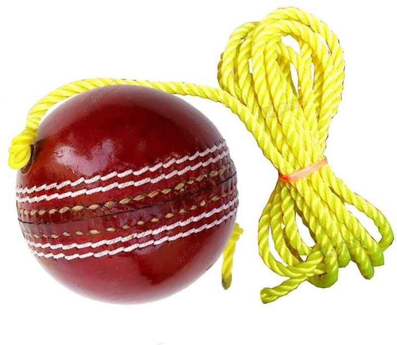 nizex Leather Cricket Hanging Ball For Knock Practice /Red Color -AT20 Cricket Training Ball(Standard, Pack of 1, Red)