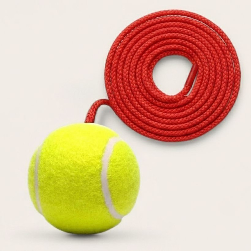 VSC Practice ball blue Hanging ball Training ball 3.5 mtr rope pack of 1 Cricket Training Ball(Standard, Pack of 1, Blue)