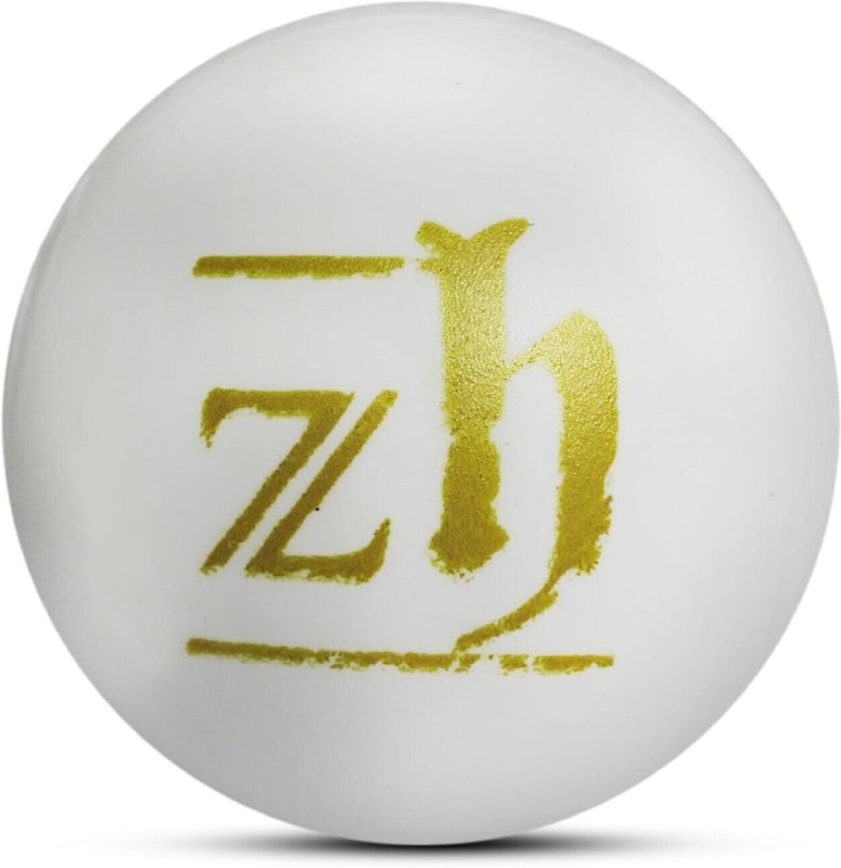 Fervor Spel Plastic Ball White Non Toxic 50 GM Per Ball Cricket Tennis Ball(Standard, Pack of 6, White)