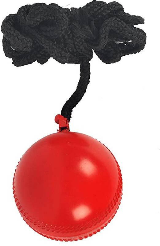 Dinetic Hanging Knocking Hard Plastic Ball Cricket Synthetic Ball(Standard, Pack of 1, Red, Black)