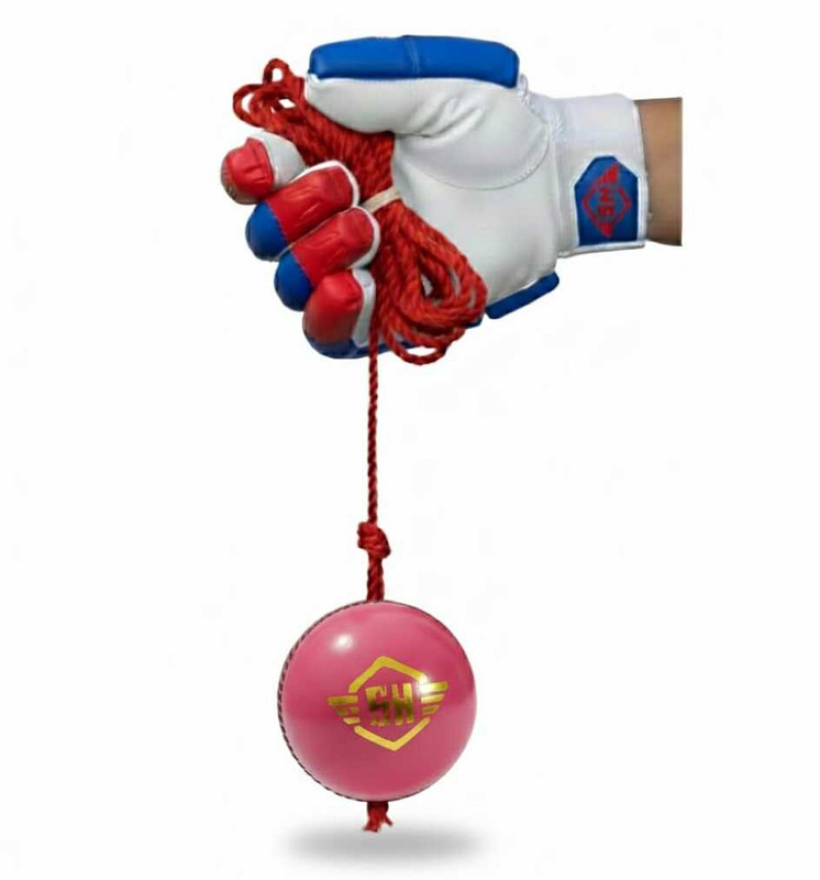 SNEHA handicraft Pink Cricket Hanging Leather Practice Ball Cricket Leather Ball(Standard, Pack of 1, Pink)