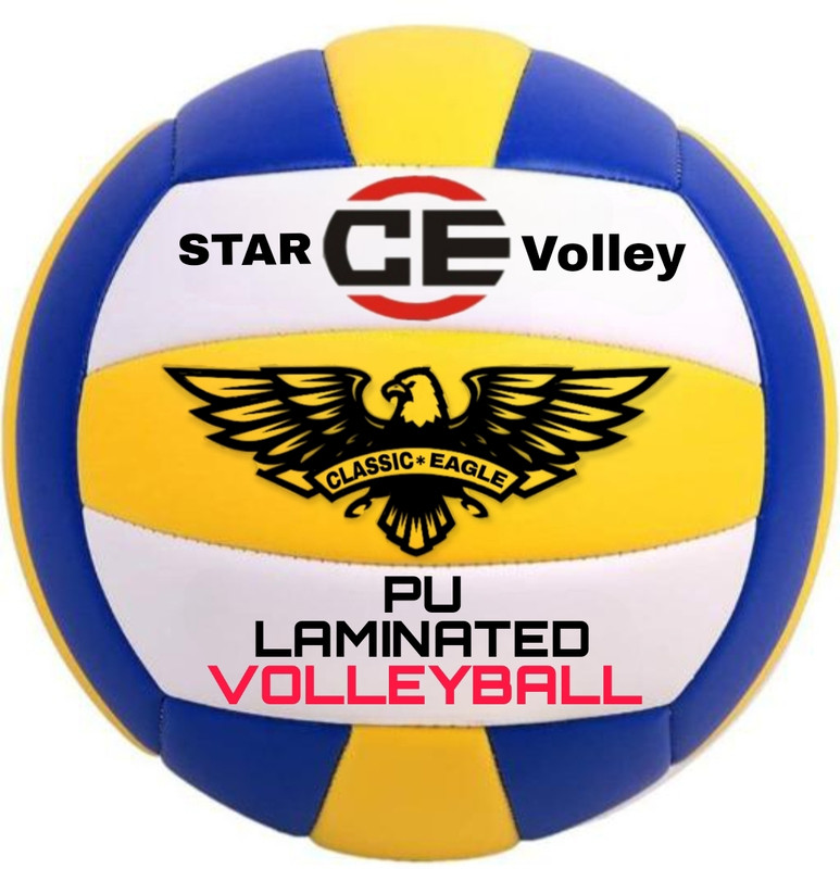 VISHWA Classic Eagle PVC Volleyball Size-4 with Air pump & Net Official size and weight Volleyball - Size: 4(Standard, Pack of 1, Multicolor)
