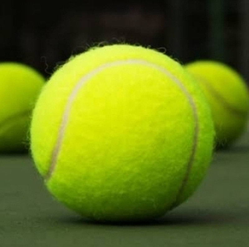 VS Enterprises Greens tennis balls 1 pie Tennis Ball(Standard, Pack of 2)