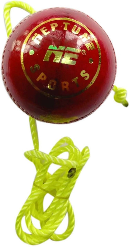 Dinetic Cricket Hanging Ball for Practice and Bat Knocking with Rope Cricket Training Ball(Standard, Pack of 2)