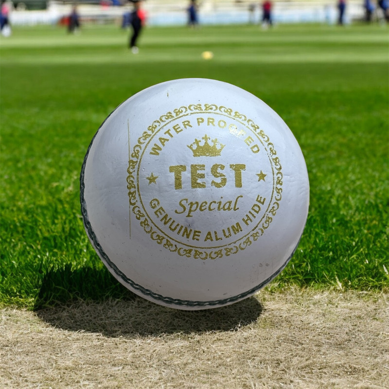 Strive Fit Leather Ball (White) Cricket Ball Test Cricket Leather Ball Cricket Leather Ball(Standard, Pack of 1)