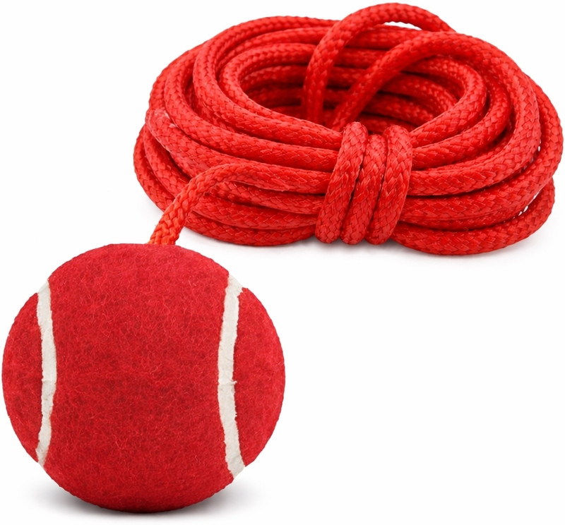 Vashu Sports 5612 Cricket Training Ball(Kids, Pack of 1, Red)