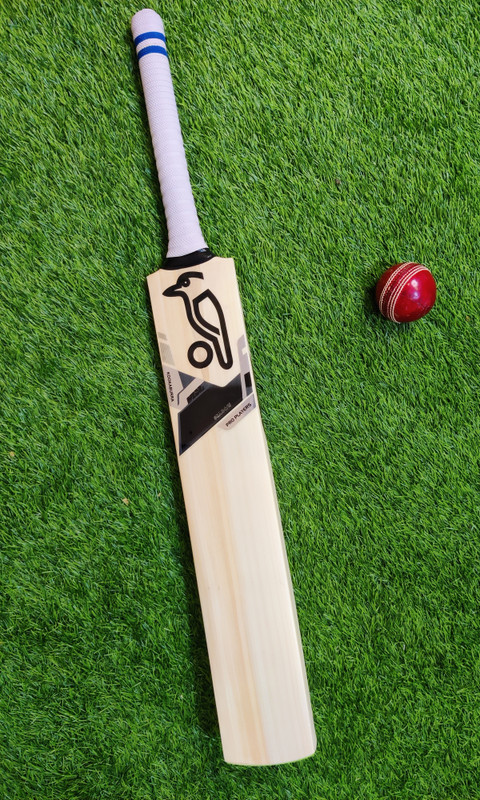 Raider Ben Stokes English Willow Leather Cricket Bat English Willow Cricket Bat For 15+ Yrs(1 kg)