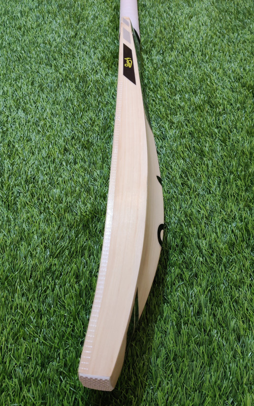 Y2M Pro Kookaburra Pro Player Black Edition English Willow English Willow Cricket  Bat For 15+ Yrs(1 kg)