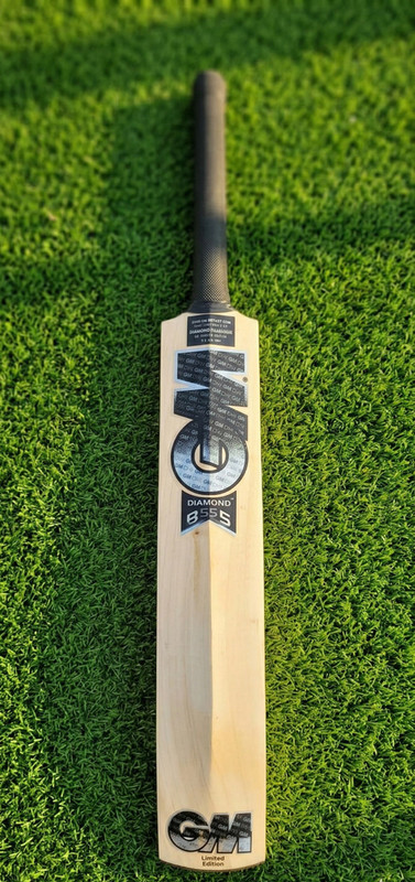 SAK-ALL STAR GM KASHMIR WILLOW Bat BEST FOR LEATHER BALL Kashmir Willow Cricket  Bat For 15+ Yrs(1100 kg)