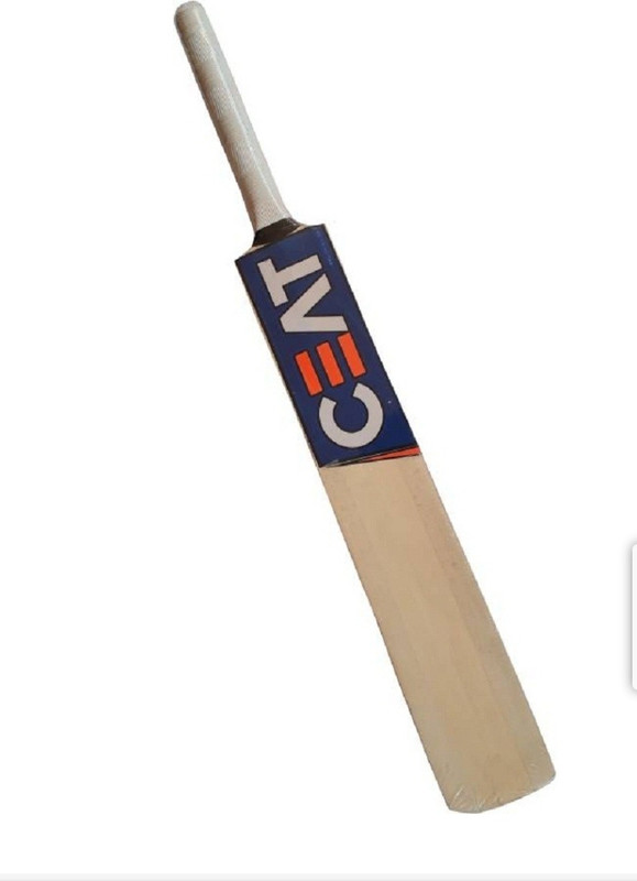 Creative Corner Wooden bat specialist in cricket Poplar Willow Cricket  Bat For 15+ Yrs(0.7 kg)