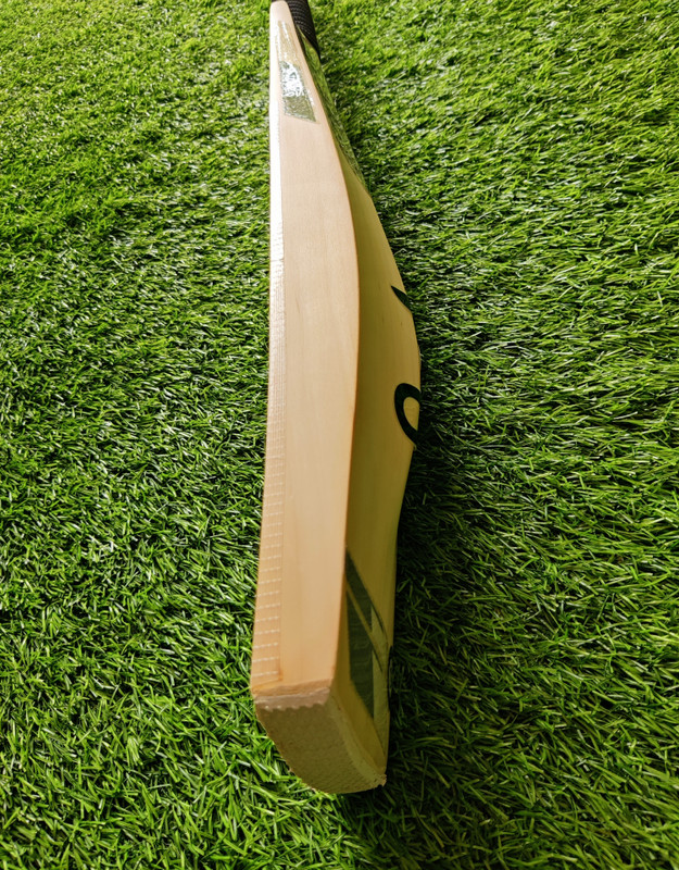 Livesporting Glenn Maxwell English Willow Cricket  Bat For 15+ Yrs(1 kg)