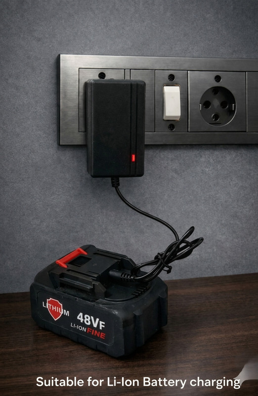 MRSTech Adaptive Fast Charging 2 A Wall Charger for E-Bike(Black)