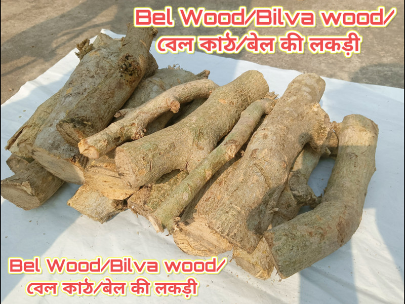 MooN Originals Natural Barbeque Wood Logs(500 g)