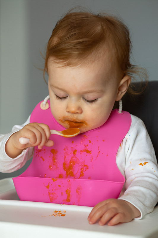 Lala Maneet Soft Easy Clean Silicone Baby Bib – Waterproof, Durable Feeding Bib (6M–5Y)(Pink)