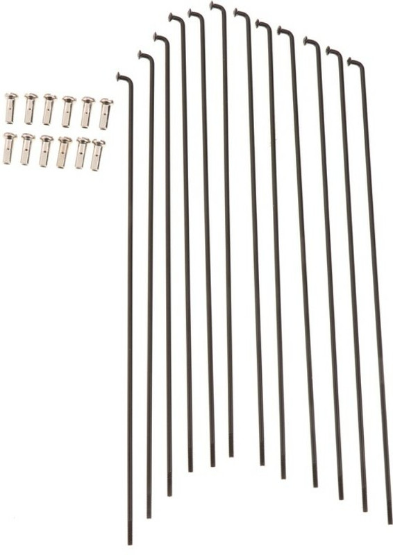 IndiaLot Bicycle Spokes 20X1.75 14G 195MM with Bolt- 28 Pcs for 28 Hole Rim/Mostly Used Bicycle Brake Disk(19.5 cm)