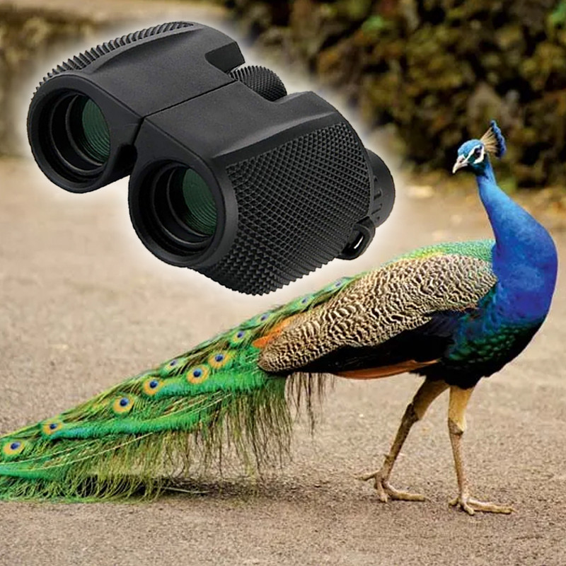 APRO High power portable 10x zooming hunting watching binocular Binoculars(25 mm , Black)