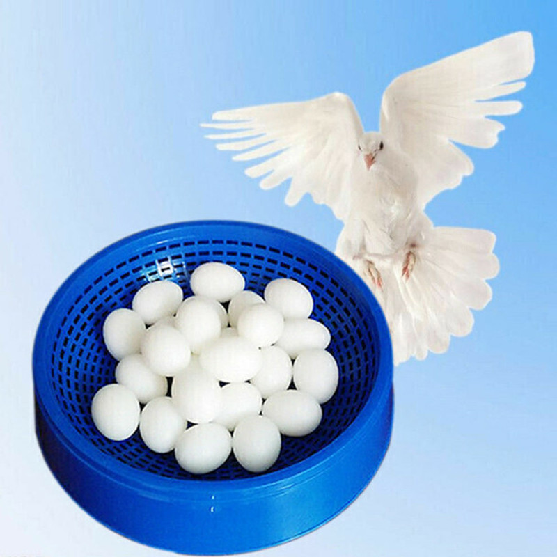 G P S 10 Pcs Fake Egg for Hatching Supplies Caged Bird Feeder(White)