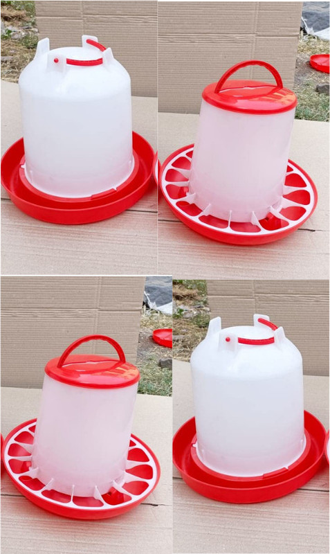 TM&W All birds support feeders and drinkers 1.5 kg 1.5 ltr =4 pcs combo Common Bird Feeder(Multicolor)