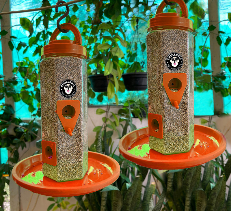chullbull pet products Medium Food Feeder for birds Window Bird Feeder Bird Feeder(Green)