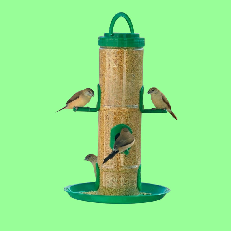 Aastha Pure 360-Degree Feeding Station with Catch-All Bottom Tray Window Bird Feeder(Green)