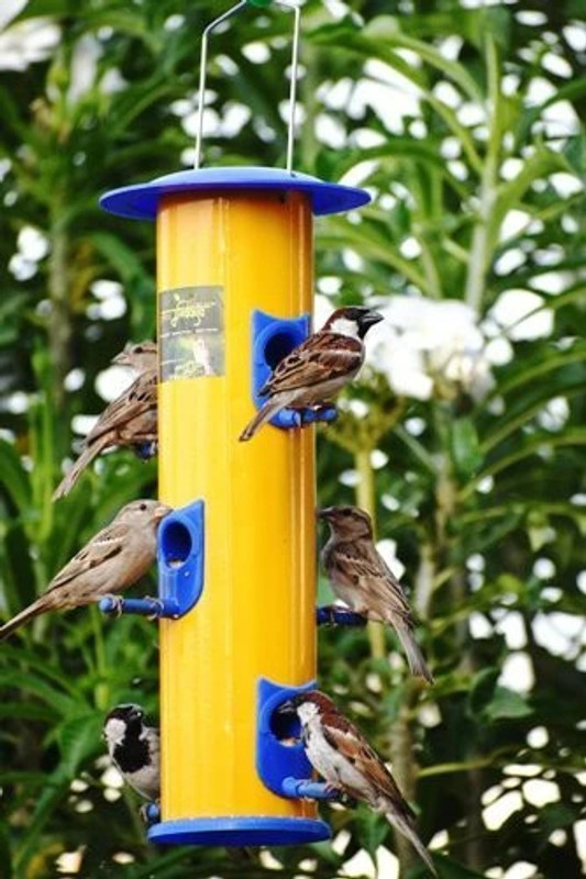 AMIJIVDAYA Window Bird Feeder(Blue, Yellow)
